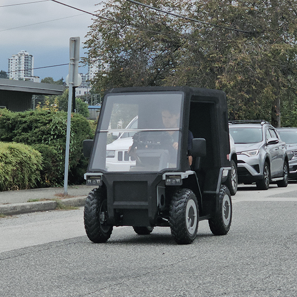 LSV