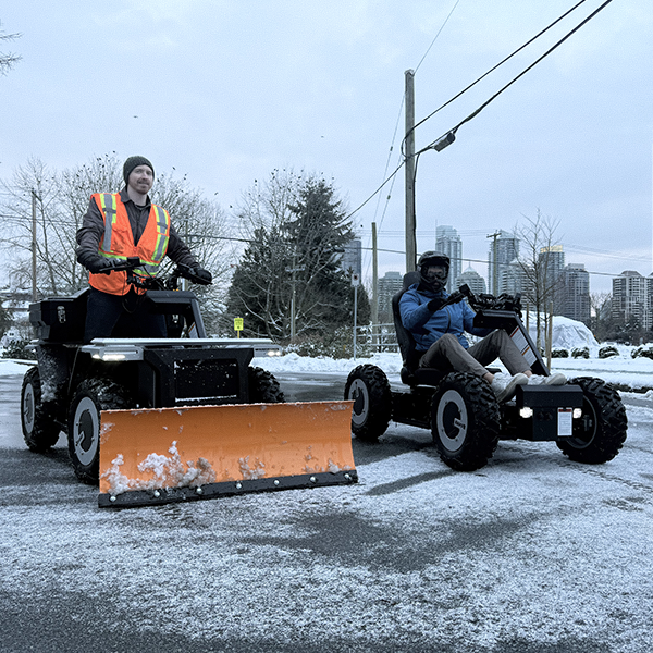 Snow-Plow & Buggy
