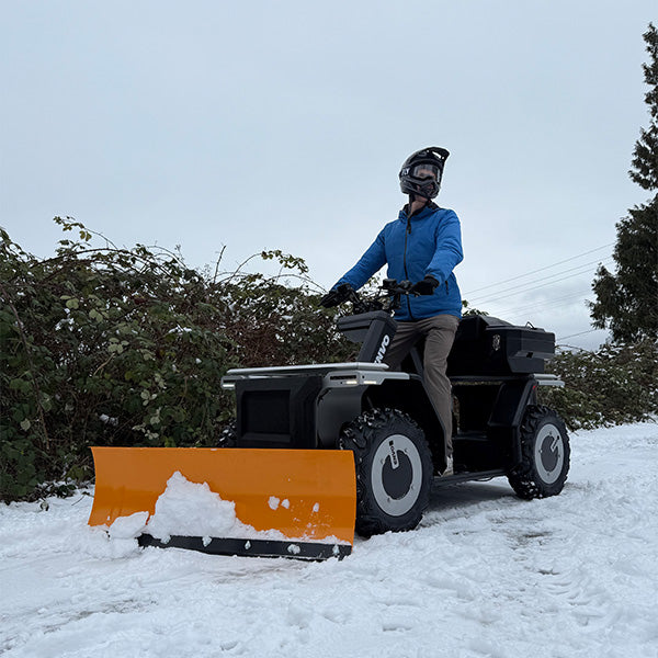 Snow-Plow