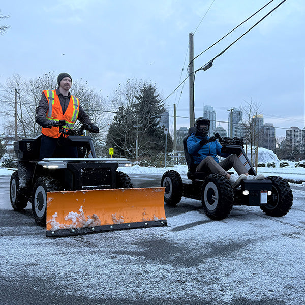 Snow-Plow & Buggy