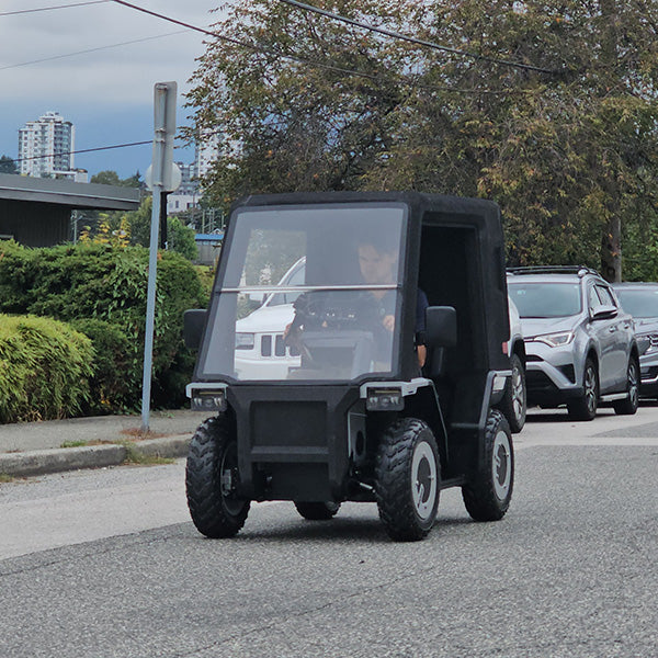 LSV
